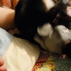 Just a little sniff