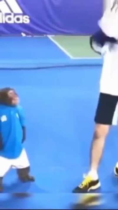 this monkey is funny and angry??