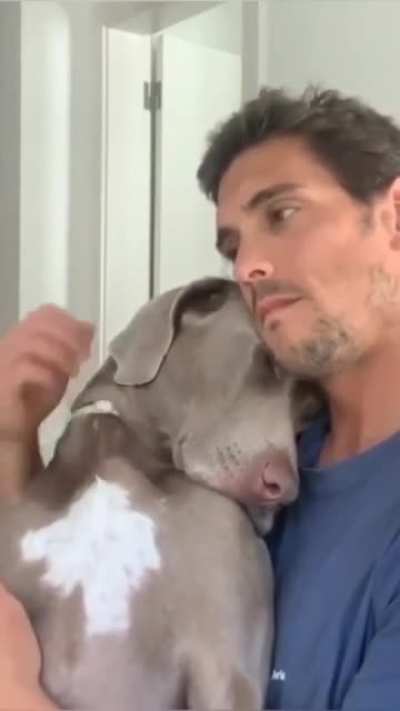 Man’s Best Friend