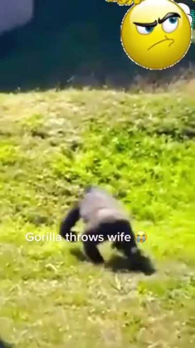 love Quarrels?