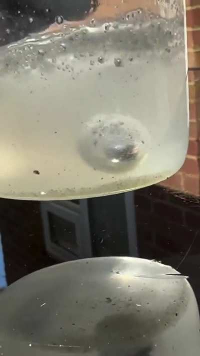What happens when you inject sodium and potassium into an apple