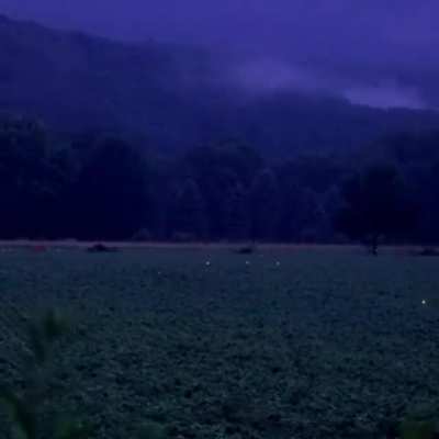How this field full of fireflies looks at night