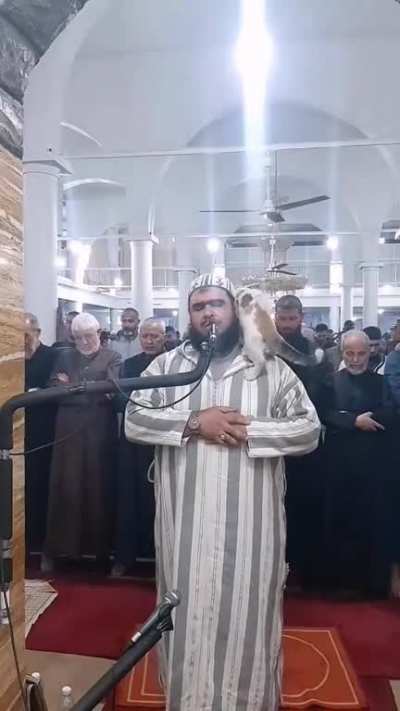 A muslim Imam gets an unexpected guest during prayer ???.