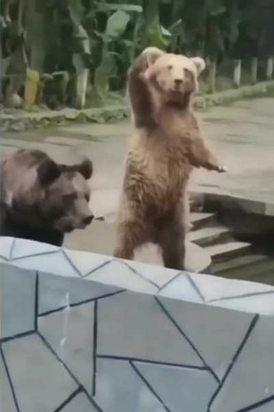 Over here! I'll take a treat please!