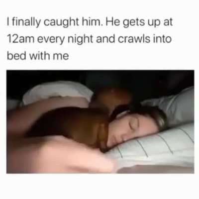 This is so pure