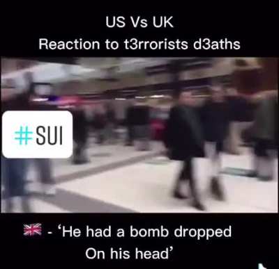 An accurate scientific report about Cultural differences between USA and UK in front of catastrophic public menaces