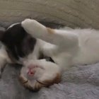 Cleaning taps