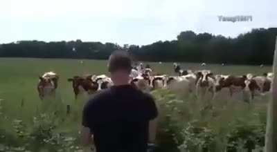 boost milk production...