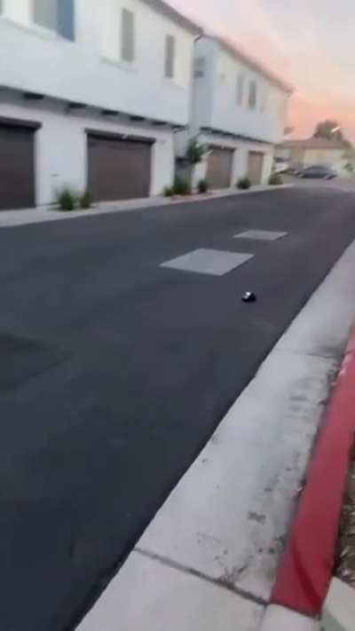 Jumping RC car off mini-ramp over kid....no matter how close the kid is to the ramp, you still gotta hit the ramp and not the kid's face for success.
