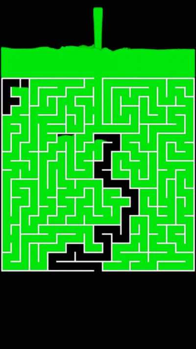 Simulation of fluids going through a maze to find the exit (Credits to @bergmanjoe on TikTok)
