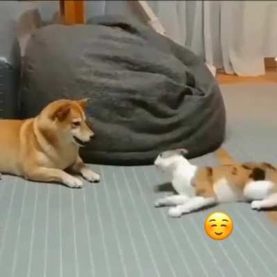 what's going on here????
