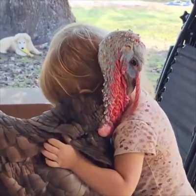 In a world where you can be anything, be kind.. ?