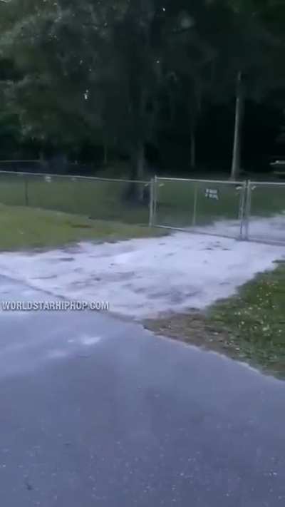Willing to risk it all... for a football
