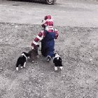 Oh no, are you ok?