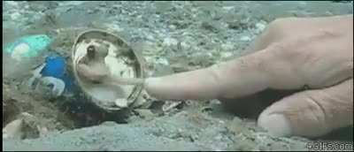 ? Alien contact
