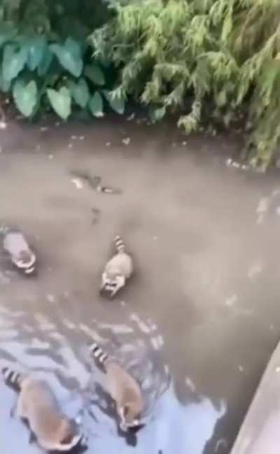 Man, I love feeding the fish