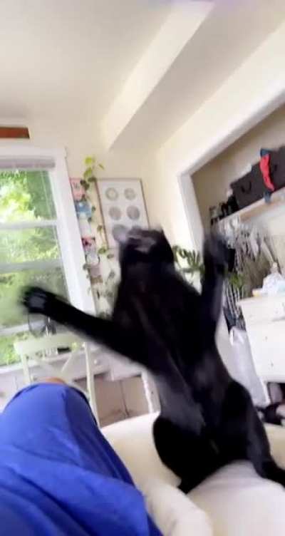 Wiggle wiggle