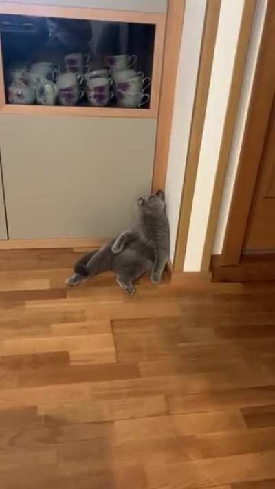 I have finally captured this moment!
