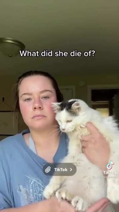 HAHAHAHAH FAKE DEAD CAT HAHAHAHAHAHA