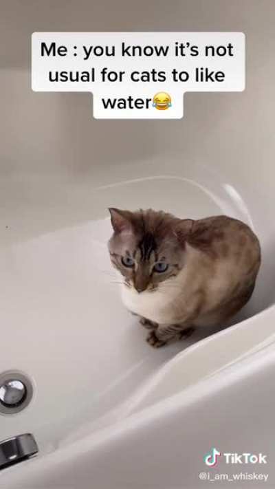 i saw this on tiktok and thought it was the cutest thing! ?