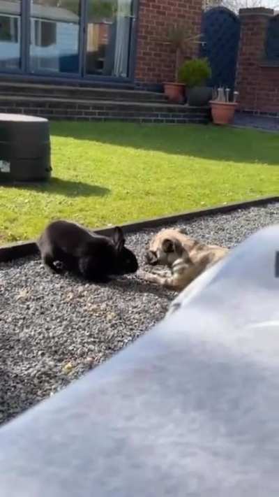 Maybe maybe maybe