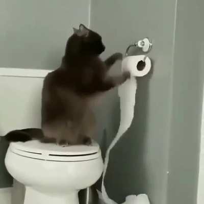 That would be me if i am bored ??