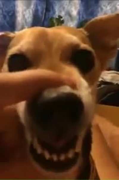 To look scary.