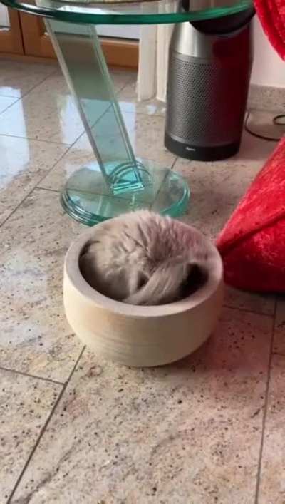 Definitely a liquid