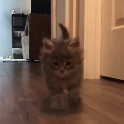 My Little Potato! ??