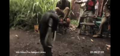 Monkey