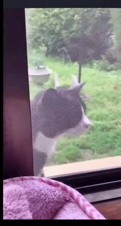 This video speaks for itself ?