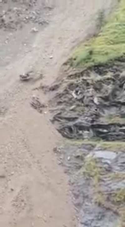 Excavator crashed