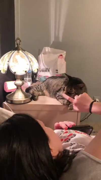 Cat Switch -To lighten up your day.