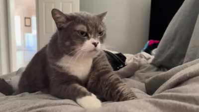The grumpiest happy face you’ve ever seen