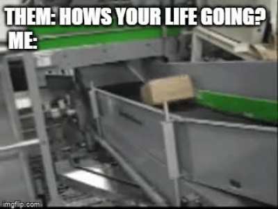 Why are we here? Just to suffer?