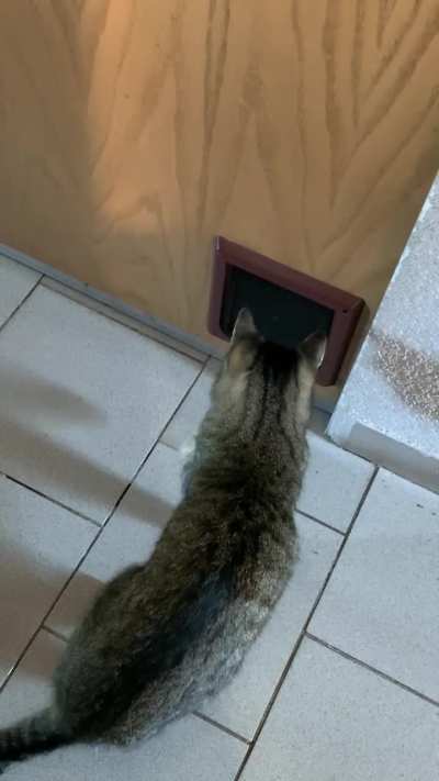 he does it at night too… ?