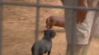 Aww.. This video made my boring Monday