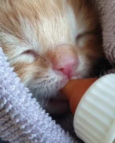 Omg Its Sooo Cute