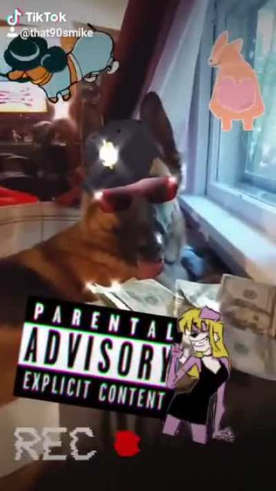 Rapping Dogs Music Video