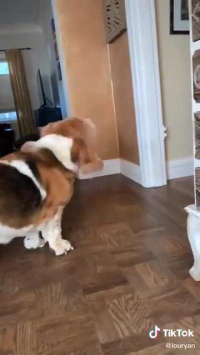 T-pup auto tune