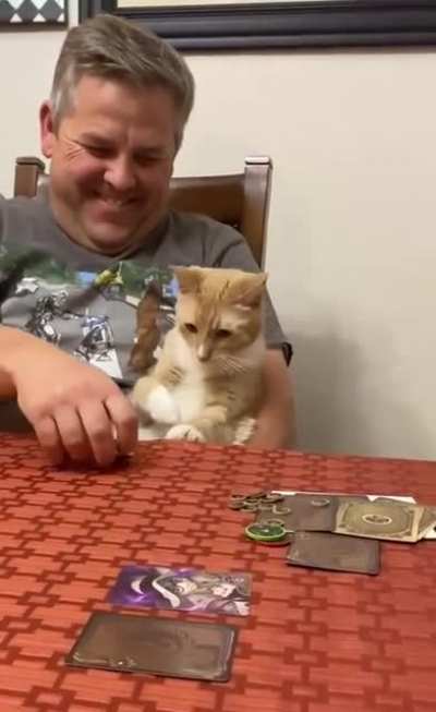 Cat: "What kind of sorcery is that??"