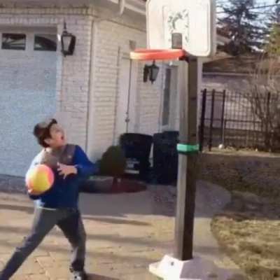 Basket bites back