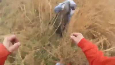 How to hunt a hog