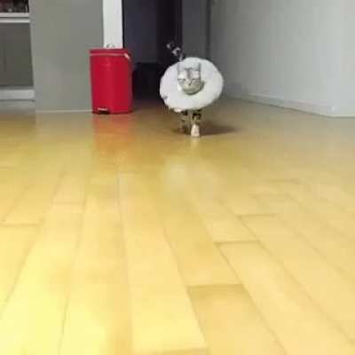 Fabulous