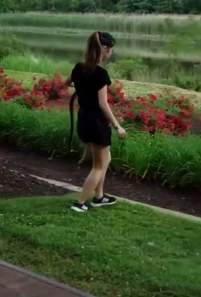 Woman fearlessly grabs the snake