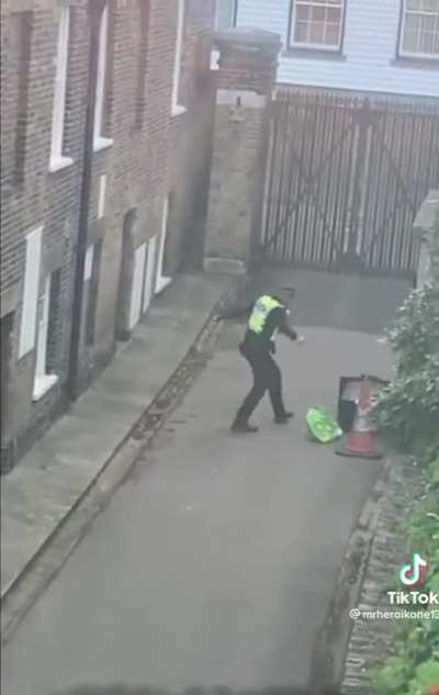 To catch a criminal