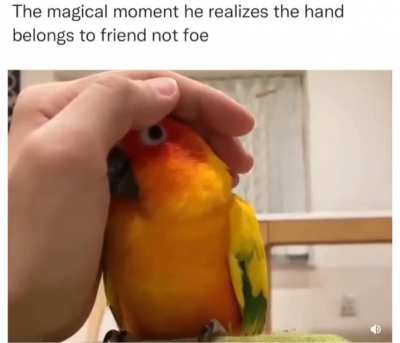 Wholesome