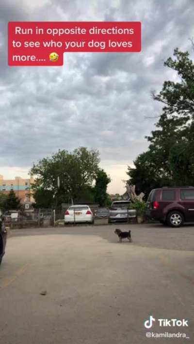 When that “Who does your dog love more?” trick causes great malfunction ?? that poor dog lmao
