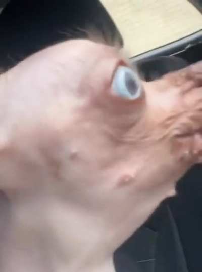 ugly.