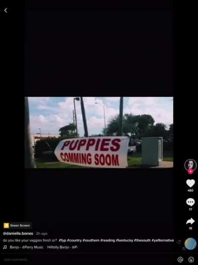 Southern signs
